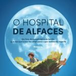 O Hospital de Alfaces – Uma História Tocante Sobre Amor