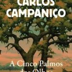 A Cinco Palmos dos Olhos